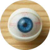 Jiusheng Doll 160cm Eカップ #100 Natashaヘッド 黒色ランジェリーと黒ストッキングのセクシーラブドール | エロ 画像 ラブドール