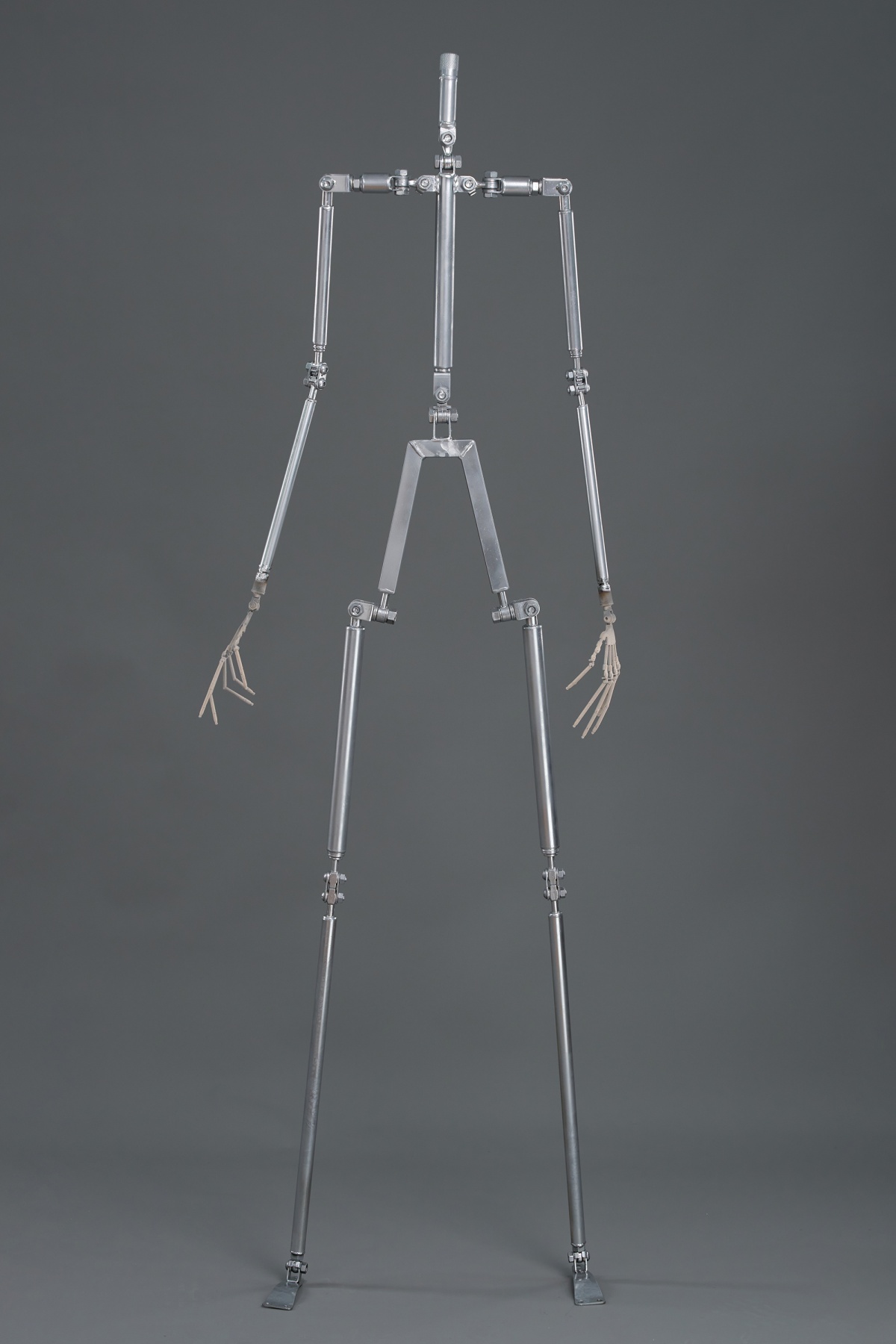 骨格の本体と操作範囲