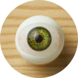 Jiusheng Doll 160cm Eカップ #100 Natashaヘッド 黒色ランジェリーと黒ストッキングのセクシーラブドール | エロ 画像 ラブドール