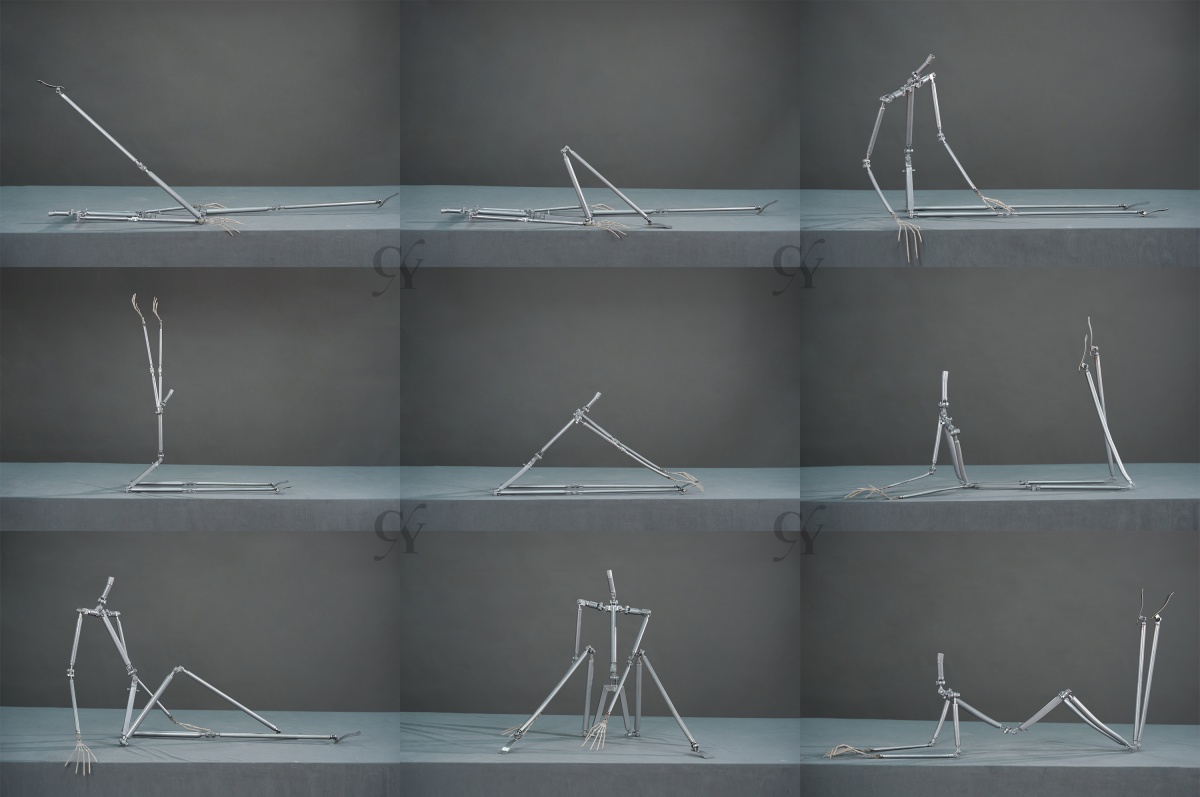 骨格の本体と操作範囲