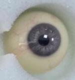 RZR DOLL 160cm Dカップ NO.23ボディ 楚儿ヘッド 深藍色ワンピースの東方系美少女ラブドール セクシーな魅力全開 Delux-究極版&普通版選択可「R」シリーズ 【膣前庭】構造あり