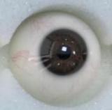 RZR DOLL 160cm Dカップ NO.23ボディ 楚儿ヘッド 白背心姿の真空セクシー美少女ラブドール 東方系 Delux-究極版&普通版選択可「R」シリーズ 【膣前庭】構造あり