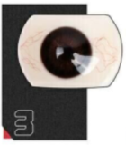 【11月】Doll Senior ラブドール 激安キャンペーン｜職人メイク・硬手硬脚・指骨入り・ジェリーバスト・ジェリーヒップ・第二ヘッド無料！