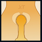 XTDOLL 11月キャンペーン | ラブドール 激安 2つのオプション半額＆5つのオプション無料 フルシリコンドール特典