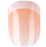 XTDOLL 11月キャンペーン | ラブドール 激安 2つのオプション半額＆5つのオプション無料 フルシリコンドール特典