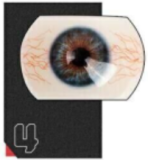 DOLL SENIOR 161cm Eカップ レイ温娜多ヘッド シリコン製 白いコートと黒ストッキングのアニメラブドール 二次元美少女ボディ