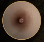 Top-Sino TYPEグラビア T96cm 新ボディキャンペーンページ(10月28日～11月15日)