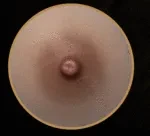 【アートワークカスタム版】Top-Sino TYPEグラビア T96cm Hカップ T43b-米苏ヘッド フルシリコン製 ブルーヘアの美人魚風ラブドール トルソー