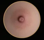 【アートワークカスタム版】Top-Sino TYPEグラビア T96cm Hカップ T43b-米苏ヘッド フルシリコン製 ブルーヘアの美人魚風ラブドール トルソー