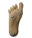 JSL doll 136cm 綾波レイ ビニールヘッド+TPEボディー  ラブドール アニメ EVAコスプレ