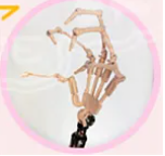 JSL doll 130cm カンナ 小林さんちのメイドラゴン ビニールヘッド+TPEボディーラブドール アニメ 粉髪のドラゴン娘コスプレ