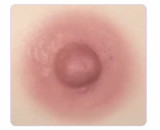 BQDOLL 148cm Dカップ B5ヘッド フルシリコンラブドール 等身大リアルドール