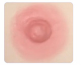 BQDOLL 148cm Dカップ B5ヘッド フルシリコンラブドール 等身大リアルドール