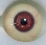 RZR DOLL 165cm Eカップ NO.22ボディ 若璃ヘッド シリコン製 白シャツ黒スカートのオフィス系ドール Delux-究極版&普通版選択可「R」シリーズ 【膣前庭】構造あり