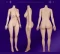 リアル皮膚168cm Fカップ
