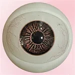 アート技研 Art-doll 163cm Eカップ A27梦娜ヘッド  フルシリコン製 つむり目ラブドール 束縛系ランジェリー＆黒ストッキングの魅惑モデル