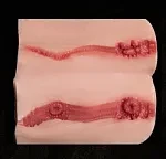 【アートワークカスタム版】 Top-Sino TYPE グラビア 160cm Iカップ T42b米然ヘッド 電話亭の黒色深Vトップスと黒スト御姐系ドール