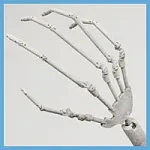 Firefly Diary 蛍火日記  Maxシリーズ 160cm Gカップ  西風(xifeng)④メイクヘッド  フルシリコン製 白シャツと青レース下着のJKラブドール・寂しげな美姿