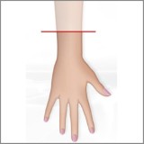 SHEDOLL152cm②(足が長いタイプ)AAカップ 南溪2.0ヘッド  TPE製  cosplayゼロツー アニメキャラコスプレラブドール