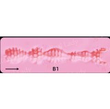 Irontech Doll フルシリコン製ラブドール  161cm F-カップ S14 ヘッド  肌色-日焼け