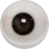 FANREAL 170cm Dカップ Della-ROSヘッド シリコン製 豹柄ランジェリーの巨乳欧米風ドール