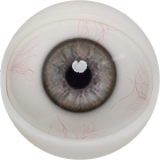 FANREAL 170cm Dカップ Della-ROSヘッド シリコン製 豹柄ランジェリーの巨乳欧米風ドール