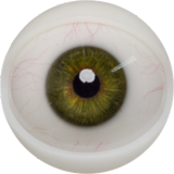 FANREAL 170cm Dカップ Della-ROSヘッド シリコン製 豹柄ランジェリーの巨乳欧米風ドール