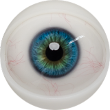 FANREAL 170cm Dカップ Della-ROSヘッド シリコン製 豹柄ランジェリーの巨乳欧米風ドール