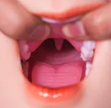 Doll Senior 170cm Hカップ (リアル皮膚付き)  梦Dreamヘッド  フルシリコン製 幻想系精灵風の超乳リアルドール