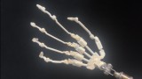 アート技研 Art-doll Novaシリーズ 158cm Cカップ 林汐ヘッド 新作登場｜10%OFFキャンペーン実施中(2月15日まで)