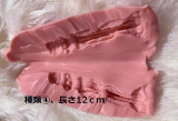 RZR DOLL 160cm Dカップ NO.23ボディ 楚儿ヘッド  フルシリコン製 超擬真 清楚系 美人で読書するリアルドール