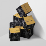 FRENKO GHOST BLACK & GREY WORKS COLLECTION - EXOSTUDIO Classic Edition Cartridge Needles Set (8 BOXES OF 20PCS)