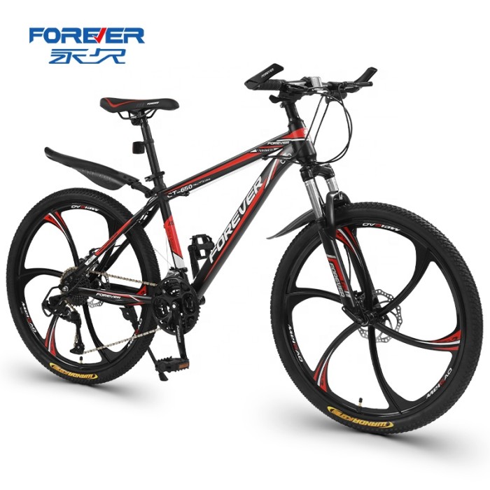 FOREVER brand new bicycle 24 inch six Knife Wheel 21speed high carbon steel Frame Mountain Bike for adult