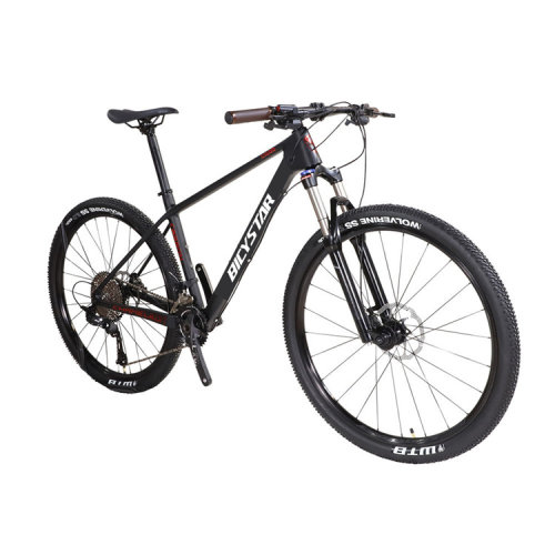 29 inch carbon fibre mountain bike / 29'' carbon frame mtb bike bicycle for sale / OEM custom wholesale price carbon  mtb
