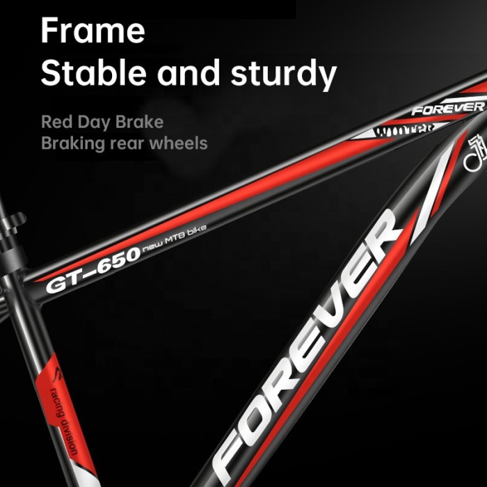 FOREVER brand new bicycle 24 inch six Knife Wheel 21speed high carbon steel Frame Mountain Bike for adult