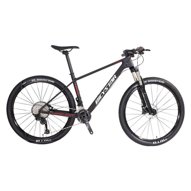 29 inch carbon fibre mountain bike / 29'' carbon frame mtb bike bicycle for sale / OEM custom wholesale price carbon  mtb