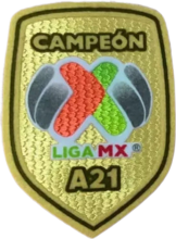 CAMPEON LIGA MX A21 Patch 墨西哥A21章  (You can buy it OR tell us which jersey to print it on. )