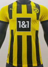 2022/23 BVB Home Yellow Player Soccer Jersey