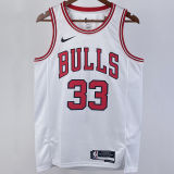 2023/24 Bulls PIPPEN #33  White NBA Jerseys 热压