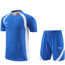 2023/24 Puma Blue Short Training Jersey