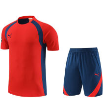 2023/24 Puma Red Short Training Jersey