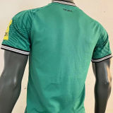 2023/24 Newcastle Away Green Player Version Soccer Jersey
