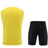 2023/24 BVB Yellow Vest Training Jersey(A Set)