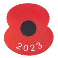 Royal British Legion Poppy 2023 英超胸前红花  (You can buy it Or tell me to print it on the Jersey )