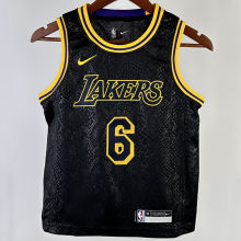 Lakers JAMES #6 Black Kids NBA Jersey