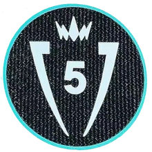 CONCACAF Champions Cup 5 Patch 5字杯 美冠杯臂章 (You can buy it Or tell me to print it on the Jersey )