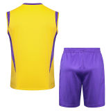 2024/25 RM Yellow Vest Training Jersey(A Set)