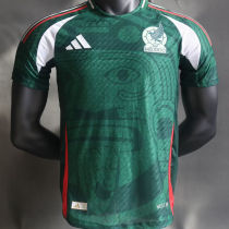 2024/25 Green Special Edition Player Version Jersey