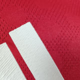 2025/26 Benfica Home Red Player Version Soccer Jersey