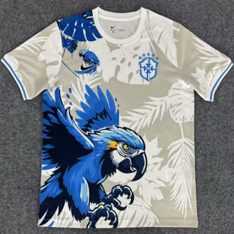 2025/26 Brazil Special Edition Fans Soccer Jersey